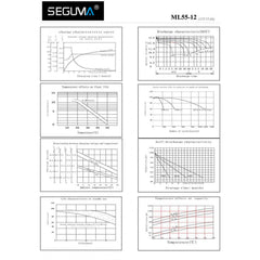 SEGUMA 12V 8AH Rechargeable AGM Battery